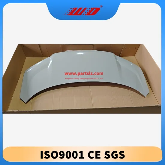 8894224987c15 Genuine Factory Hood for Zeekr 009 – in Stock, Immediate Dispatch, No Waiting